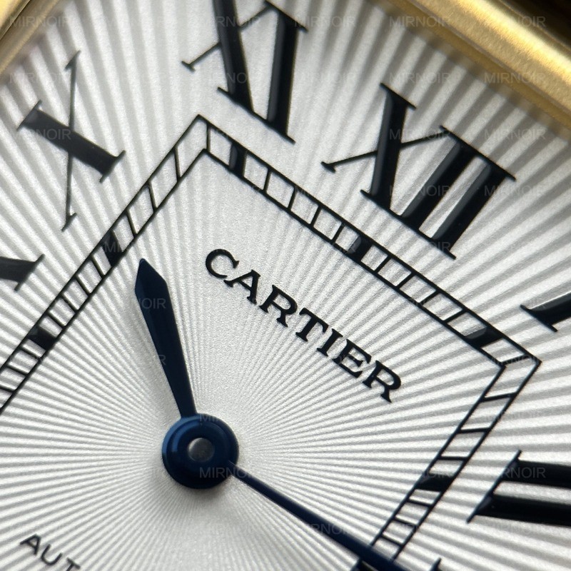 Dong-Ho-Cartier-Tank-Louis-Fake-11-Mat-Trang-Day-Da-Mau-Xam-27.8×38-8.jpg