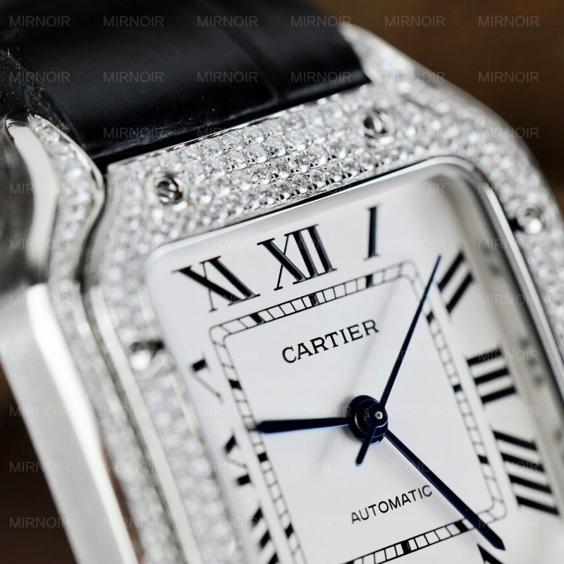 Dong-Ho-Cartier-Santos-Nu-Che-Tac-Dinh-Kim-Cuong-Moissanite-Day-Da-Den-Xuong-BV-35-6.jpg