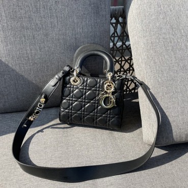 디올 스몰 레이디백 스몰