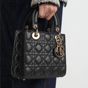 디올 스몰 레이디백 스몰