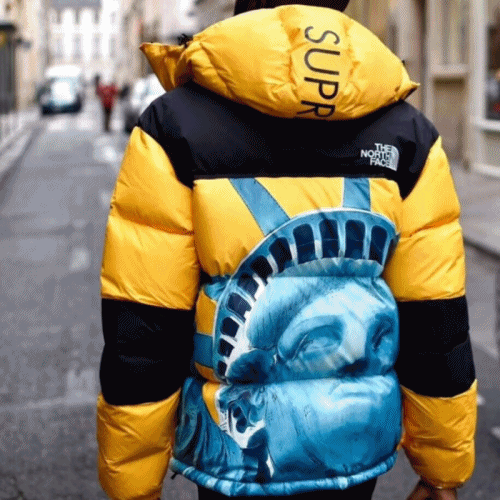 [매장판]The North Face 2019 Mm/Wm Goose Down Padding Parka- 노스페이스 2019 남자 구스다운 패딩 Nor0093x.Size(s 