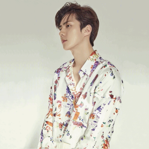 Dior x Kaws 2019 Mens Flower Embroidery Silk Tshirt - 디올 남성 꽃자수 실크 티셔츠 Dio0198x.Size(s 