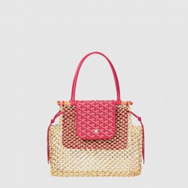 고야드 여성 알리그르 백 