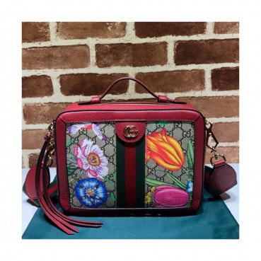 Gucci 2019 Ophidia Women Tote Shoulder Bag,25CM - 구찌 2019 오피디아 여성용 토트 숄더백 ,550622,GUB0868 ,25CM,레드