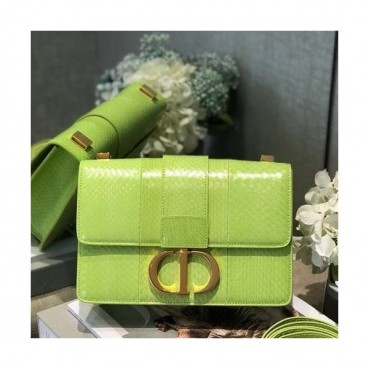 Dior 2019 Leather CD Buckle Shoulder Bag,24CM - 디올 2019 레더 CD 버클 여성용 숄더백  DIOB0446,24CM,라이트그린