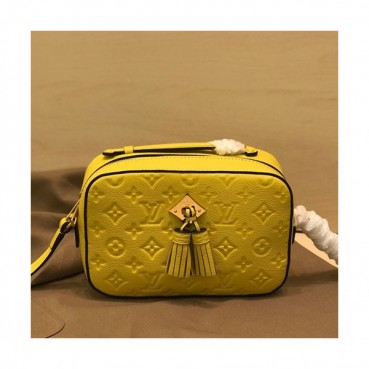 Louis Vuitton 2019 Saintonge Camera Shoulder Bag,22cm - 루이비통 2019 생통주 카메라 숄더백 M44606,LOUB1619,22cm,옐로우