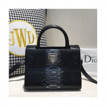 Dior 2019 Ever Leather Tote Shoulder Bag ,21CM - 디올 2019 에버 여성용 레더 토트 숄더백 DIOB0208,21cm,블랙