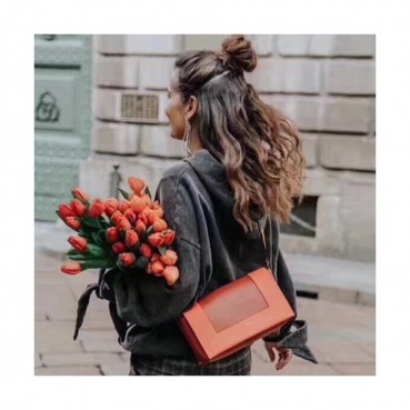 Celine Leather Frame Shoulder Bag,25CM - 셀린느 레더 프레임 여성용 숄더백 ,43343