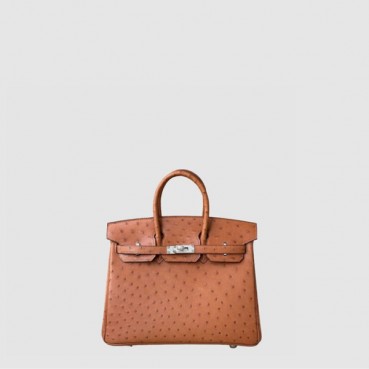 에르메스 여성 25 버킨백 - Hermes Womens Birkin Bag 