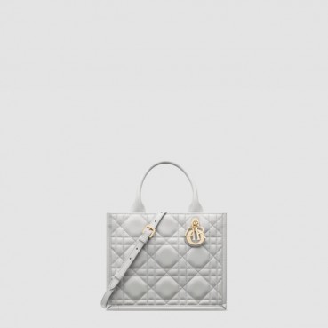 디올 여성 북토트 스몰 백 - Dior Womens Book Tote Small Bag 