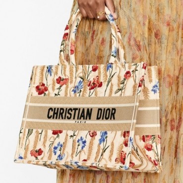 디올 여성 베이지 북토트 - Dior Womens Beige Book Tote 