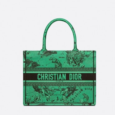 디올 여성 그린 북토트 - Dior Womens Green Book Tote 
