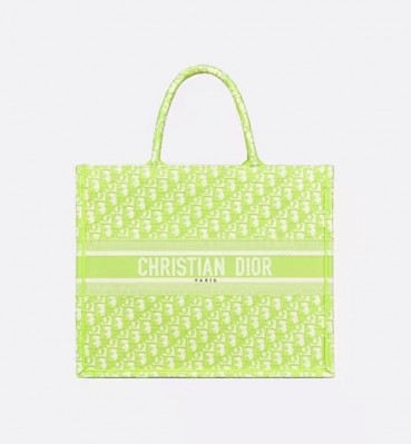 디올 여성 그린 북토트 - Dior Womens Green Book Tote 