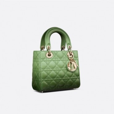 디올 여성 그린 레이디백 - Womens Green Lady Bag 