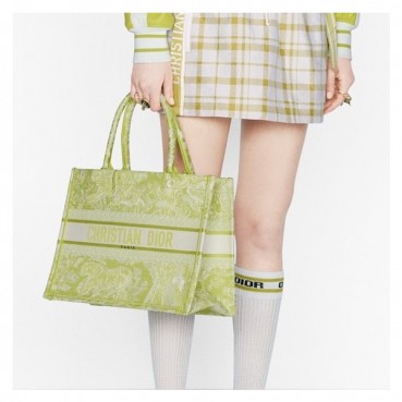 디올 여성 그린 북토트 - Womens Green Book Tote 