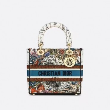 디올 여성 레드 레이디 백 - Dior Womens Red Lady Bag 