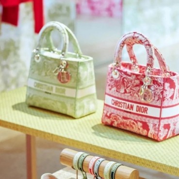 디올 여성 레드 레이디백 - Womens Red Shoulder Bag 