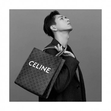 Celine 2019 Vertical Cabas Canvas Tote Shopper Bag,32CM - 셀린느 2019  버티컬 카바스 캔버스 토트 쇼퍼백 ,191542