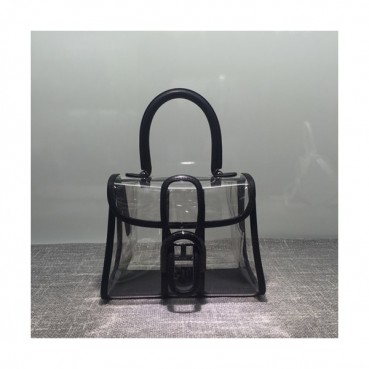 Delvaux 2019 Brillant X-ray PVC Tote Shoulder Bag,20CM 