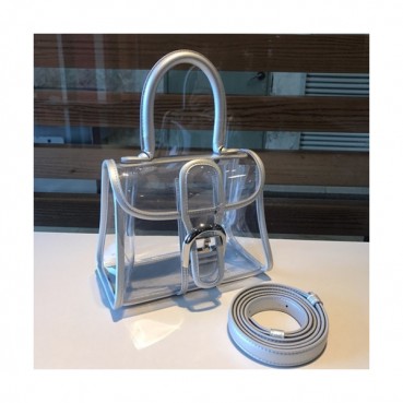 Delvaux 2019 Brillant X-ray PVC Tote Shoulder Bag,20CM 
