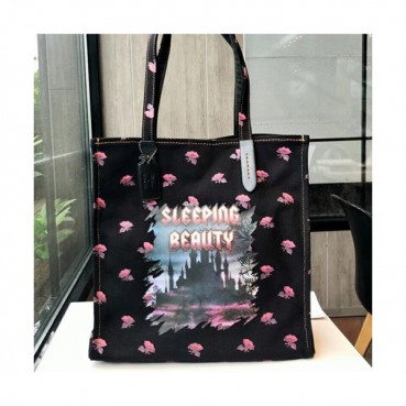 Coach Keith Haring Canvas Tote Shoulder Shopper Bag,35cm - 코치 키스 해링 캔버스 토트 숄더 쇼퍼백 COAB0106,35cm,블랙