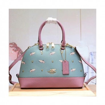 Coach Leather Tote Shoulder Bag,25cm - 코치 레더 토트 숄더백 COAB0080,25cm,스카이블루