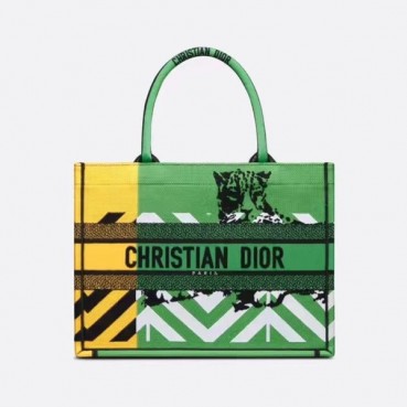 디올 여성 그린 북토트 - Womens Green Book Tote 
