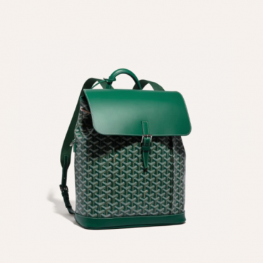 고야드 남/녀 그린 알팡 백팩 MM - Goyard Unisex Alpin Back Pack 