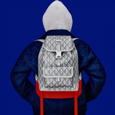 디올 남성 그레이 백팩 - Dior Mens Gray Back Pack 