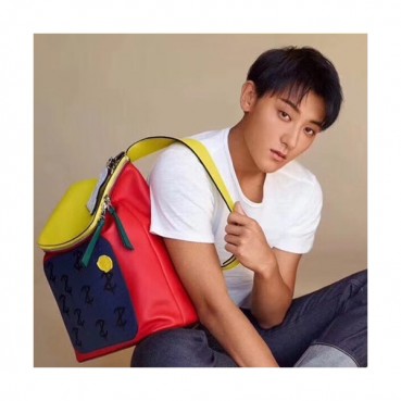 Loewe 2019 Z.Tao Goya Back Pack, 34CM - 로에베 2019 Z.TAO 남여공용 고야 백팩 ,LOEB0079, 34CM, 네이비+레드(옐로우) 