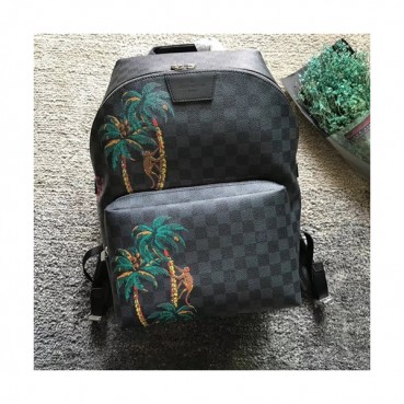 Louis Vuitton  Apollo Back Pack,37cm - 루이비통 아폴로 남여공용 백팩 N50003,LOUB0028,37cm