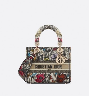 디올 여성 레드 레이디 백 - Dior Womens Red Lady Bag 