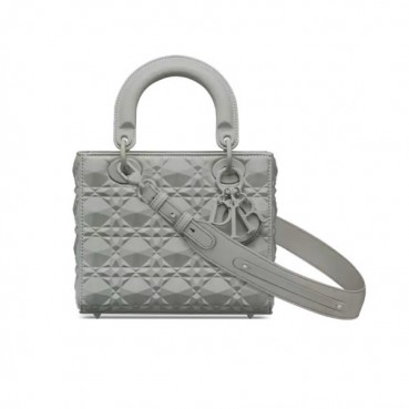 디올 여성 그레이 다이아몬드 레이디백 - Womens Gray Lady Bag 