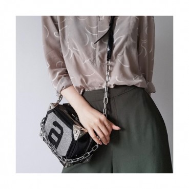 Alexander Wang 2020 Shoulder Cross Bag,19cm - 알렉산더왕 2020 여성용 숄더 크로스백 AWB0062,19cm,실버블랙