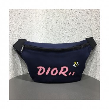Dior x Kaws 2019 Canvas & Leather Belt Bag,23cm - 디올x카우스 2019 캔버스&레더 남여공용 벨트백,DIOB0303,23cm,블루(핑크)