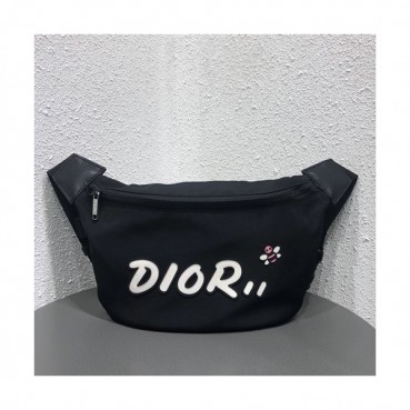 Dior x Kaws 2019 Canvas & Leather Belt Bag,23cm - 디올x카우스 2019 캔버스&레더 남여공용 벨트백,DIOB0300,23cm,블랙(화이트)