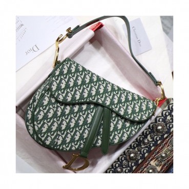 Dior 2019 Saddle Shoulder Bag ,17/25.5CM - 디올 2019 새들 숄더백,DIOB0109,17/25.5CM,그린