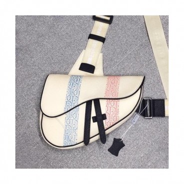 Dior 2019 Pre-Fall Saddle Belt Bag 