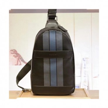 Coach Leather Hip Sack ,20cm - 코치 남여공용 레더 힙색 , COAB0125,20cm,블랙