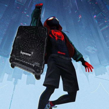 리모와 x 슈프림 컬렉션 스파이더 캐리어 - Rimowa x Supreme Collection Carrier 