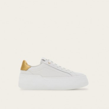 페라가모 여성 베이직 스니커즈 - Salvatore Ferragamo Womens Basic Sneaker 