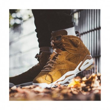 Air Jordan 2019 6 Mens Running Shoes - 에어조던 2019 6 남성용 런닝슈즈 ,AIRJS0125, Size(255 