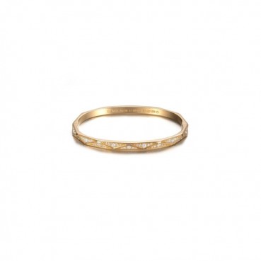 그라프 여성 골드 팔찌 - Graff Womens Gold Bangle 