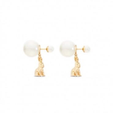 디올 여성 골드 이어링 - Dior Womens Gold Earring 