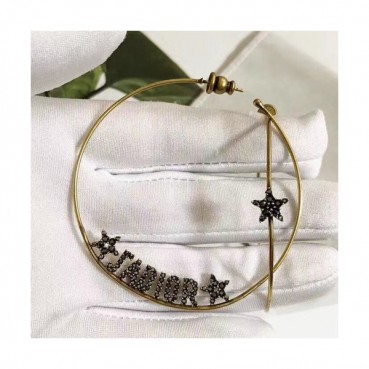 Dior Rose Gold Earring - 디올 여성용 18k도금 로즈 골드 귀걸이