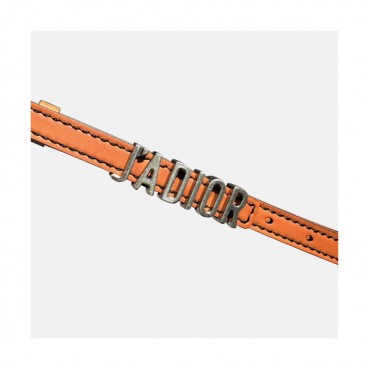 Christian Dior 2019 Jadior Ladies Leather Belt - 크리스챤 디올 2019 자디올 여성용 레더 벨트 DIOBT0018,Size(1.5CM).브라운