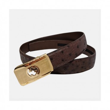 Gucci 2019 Mens Ostrich Leather Belt - 구찌 2019 남성용 오스트리치 레더 벨트 GUBT0023.브라운