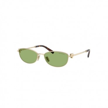 티파니 여성 프리미엄 메탈 프레임 선글라스 - Tiffany Womens Premium Metal Frame Sunglasses 