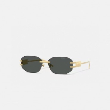 베르사체 남/녀 프리미엄 메탈 프레임 선글라스 - Versace Unisex Premium Metal Frame Sunglasses 