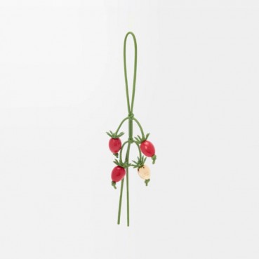 로에베 남/녀 토마토 가지 수지 참 - Loewe Unisex Tomato Eggplant Resin Charm 